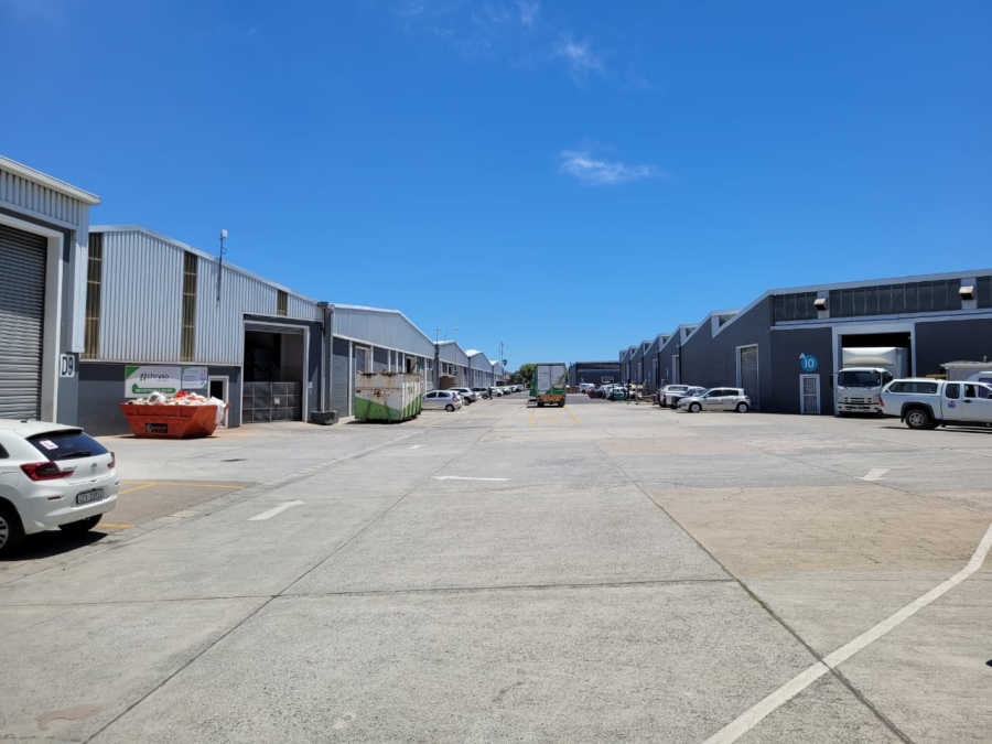 To Let commercial Property for Rent in Beaconvale Western Cape